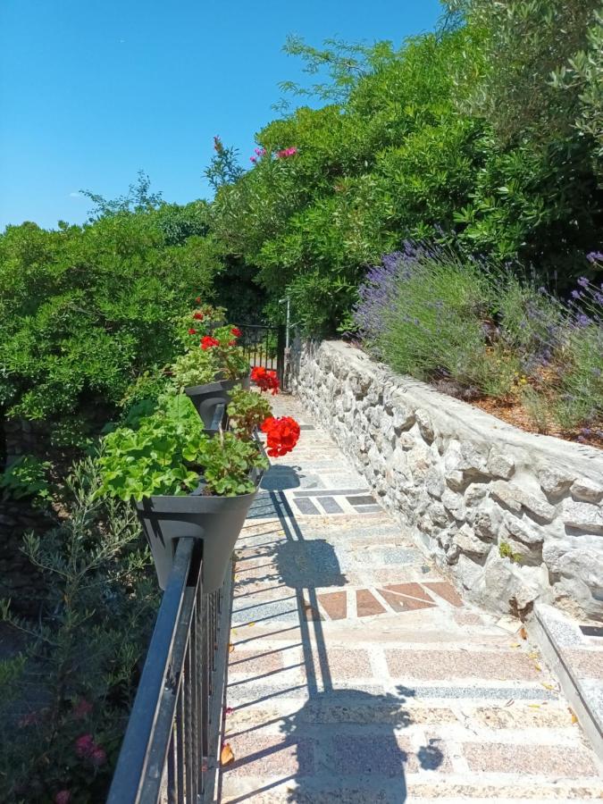Apartament Sea & Honey Krk Town Zewnętrze zdjęcie